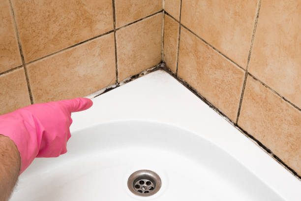 Best Emergency Mold Removal  in Oakland, MD